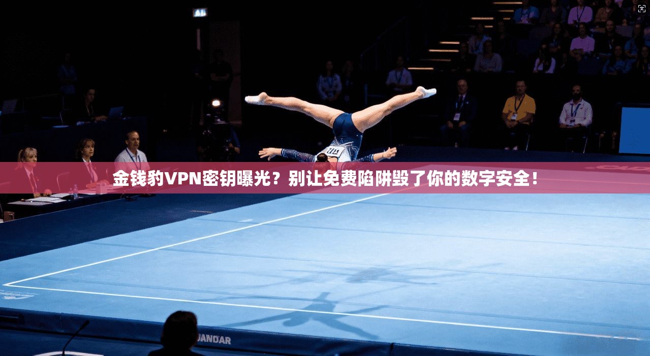 金钱豹VPN密钥曝光？别让免费陷阱毁了你的数字安全！