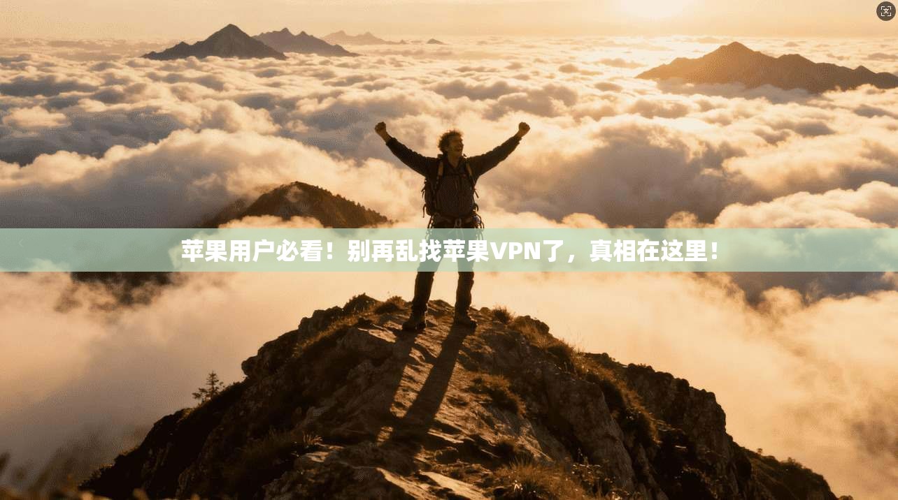 苹果用户必看！别再乱找苹果VPN了，真相在这里！