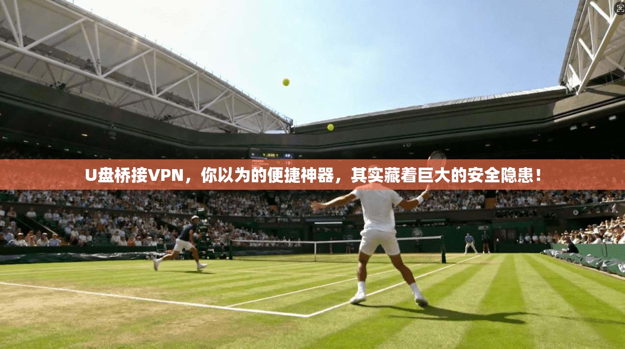 U盘桥接VPN，你以为的便捷神器，其实藏着巨大的安全隐患！