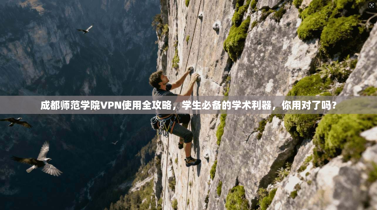 成都师范学院VPN使用全攻略，学生必备的学术利器，你用对了吗？