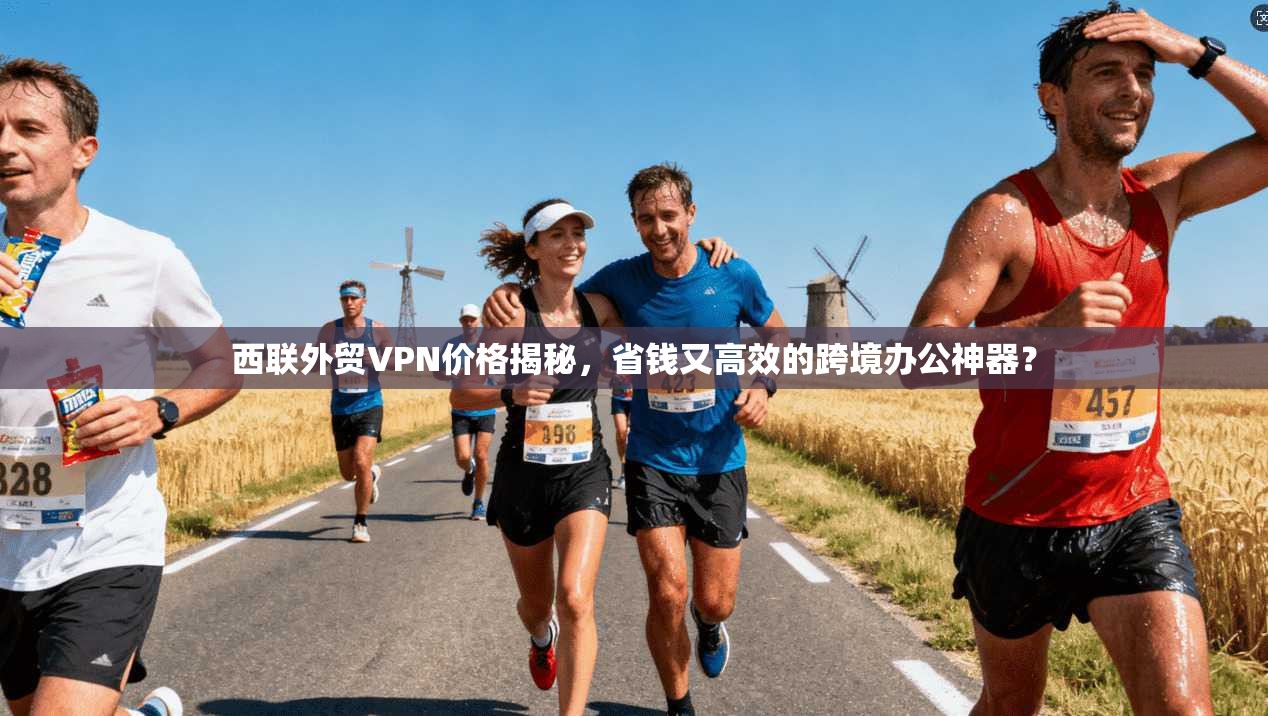 西联外贸VPN价格揭秘，省钱又高效的跨境办公神器？