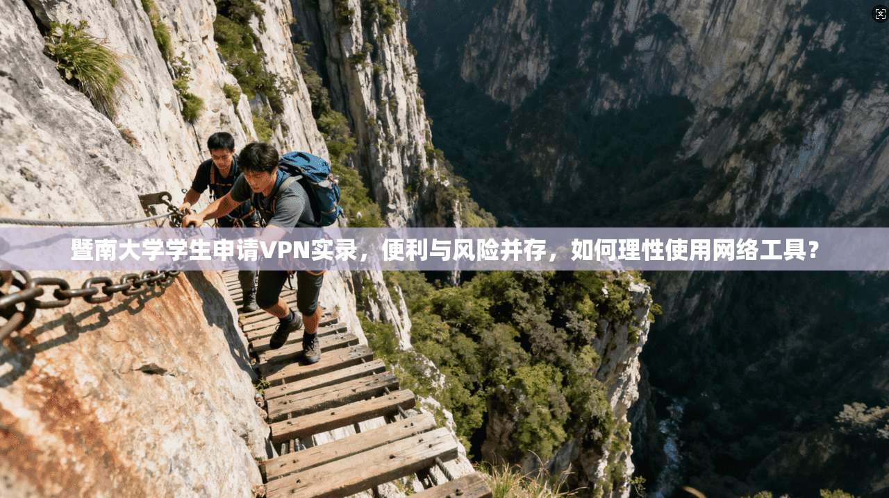 暨南大学学生申请VPN实录，便利与风险并存，如何理性使用网络工具？