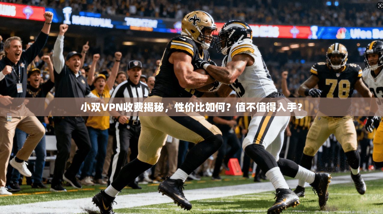 小双VPN收费揭秘，性价比如何？值不值得入手？