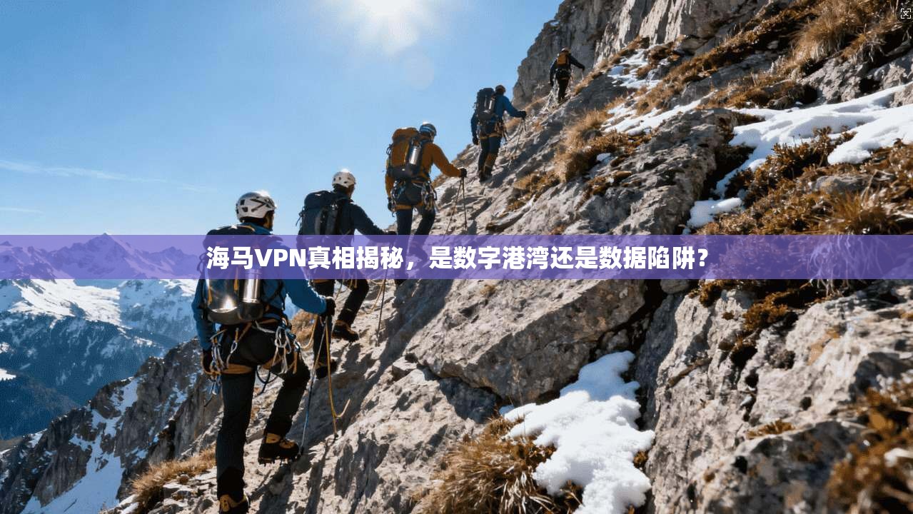 海马VPN真相揭秘，是数字港湾还是数据陷阱？