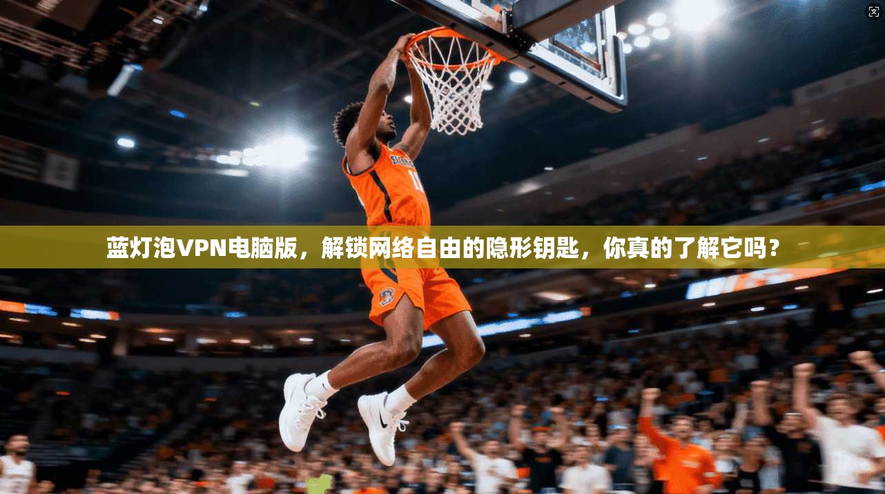 蓝灯泡VPN电脑版，解锁网络自由的隐形钥匙，你真的了解它吗？