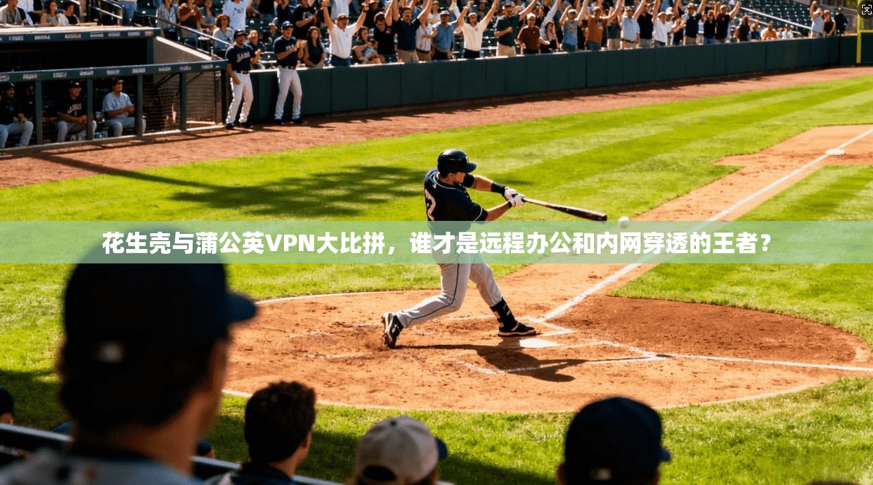 花生壳与蒲公英VPN大比拼，谁才是远程办公和内网穿透的王者？