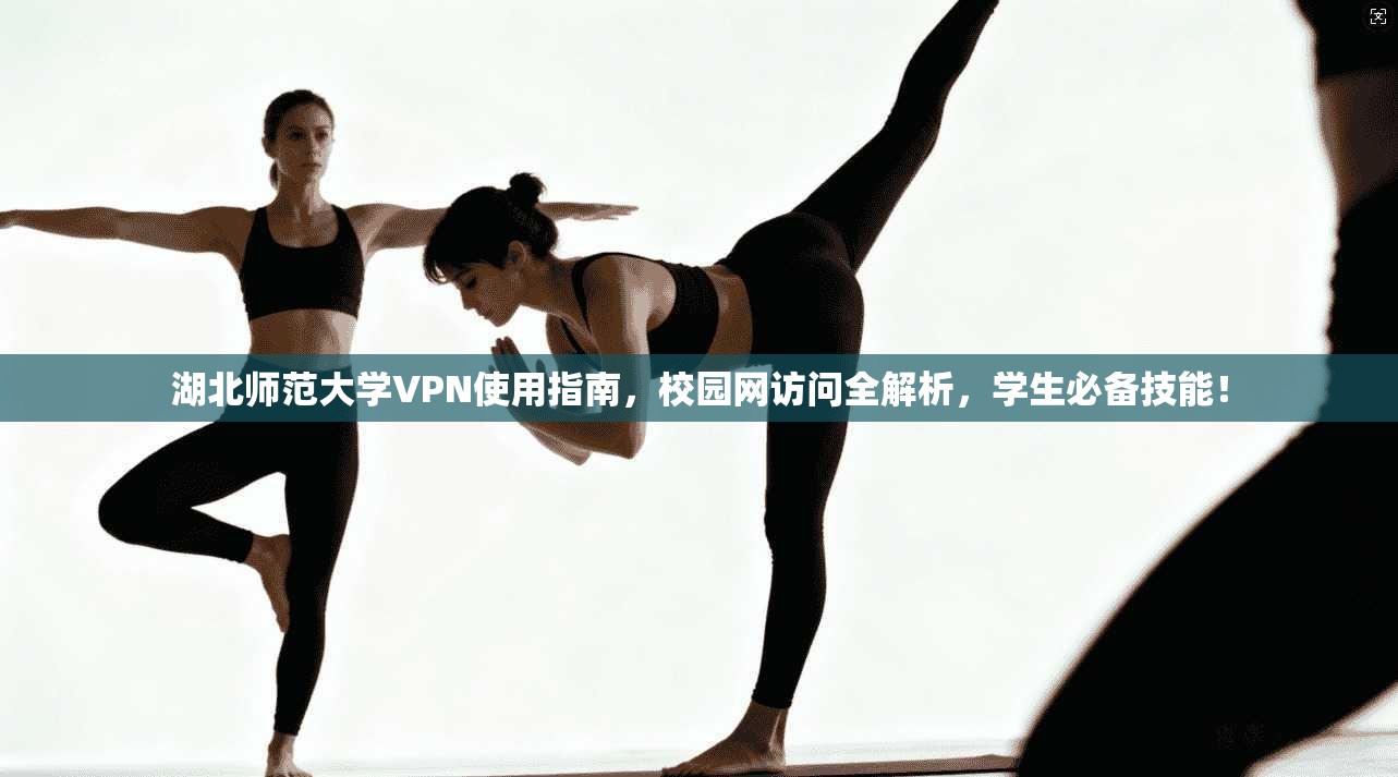 湖北师范大学VPN使用指南，校园网访问全解析，学生必备技能！