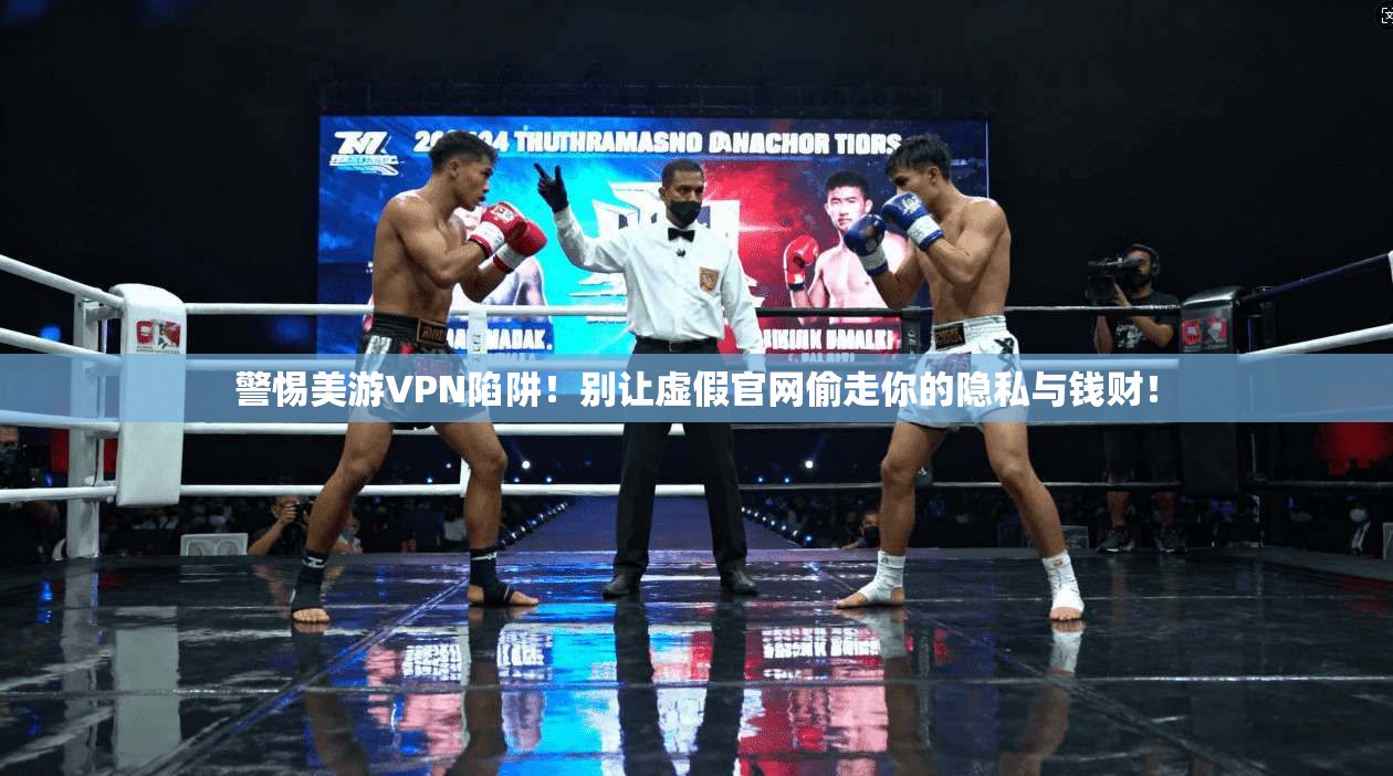 警惕美游VPN陷阱！别让虚假官网偷走你的隐私与钱财！