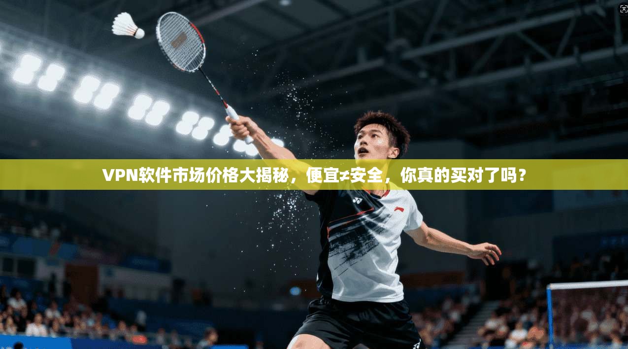 VPN软件市场价格大揭秘，便宜≠安全，你真的买对了吗？
