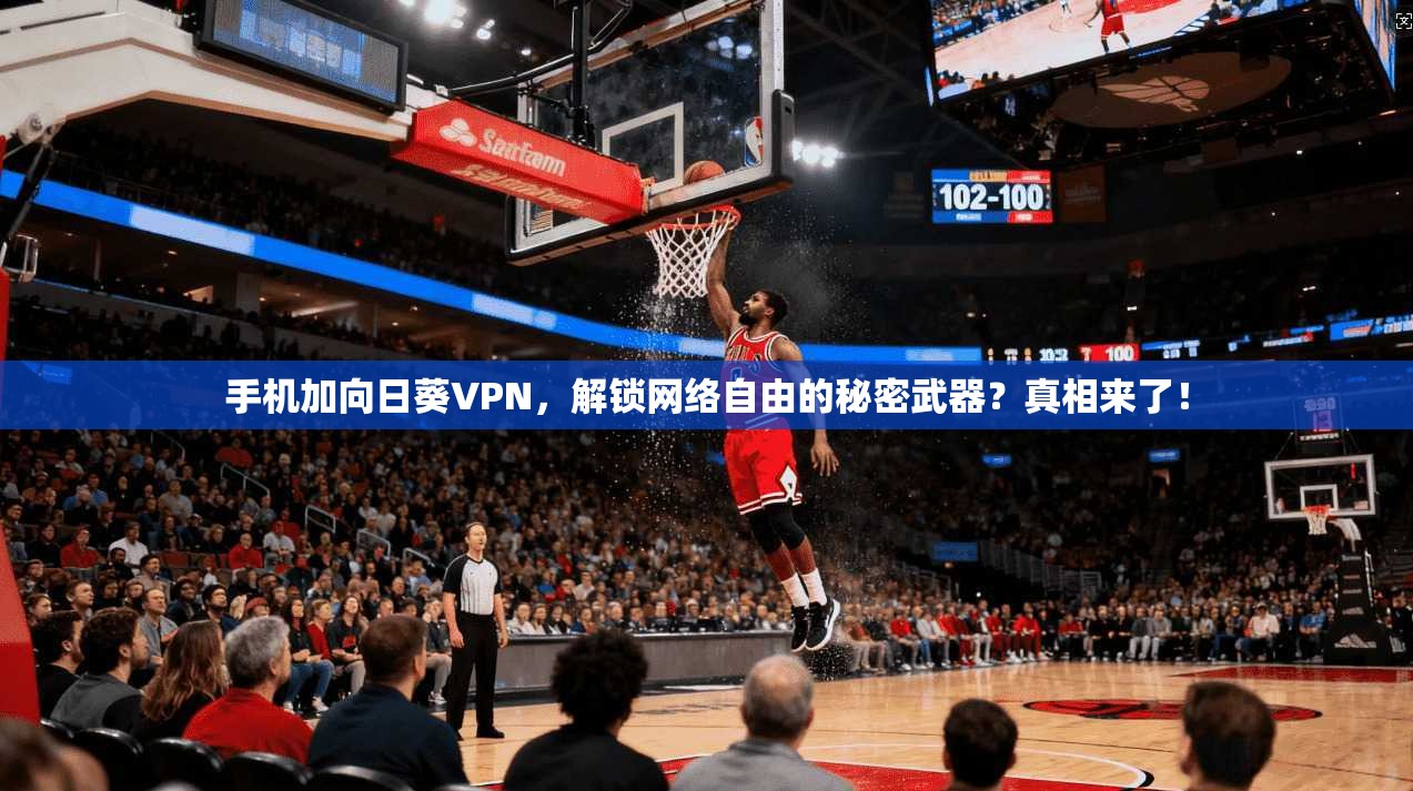 手机加向日葵VPN，解锁网络自由的秘密武器？真相来了！