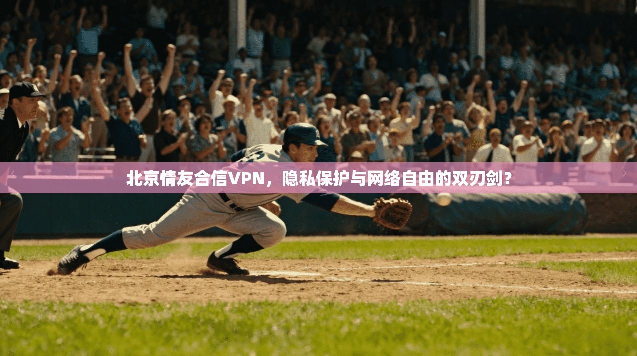 北京情友合信VPN，隐私保护与网络自由的双刃剑？