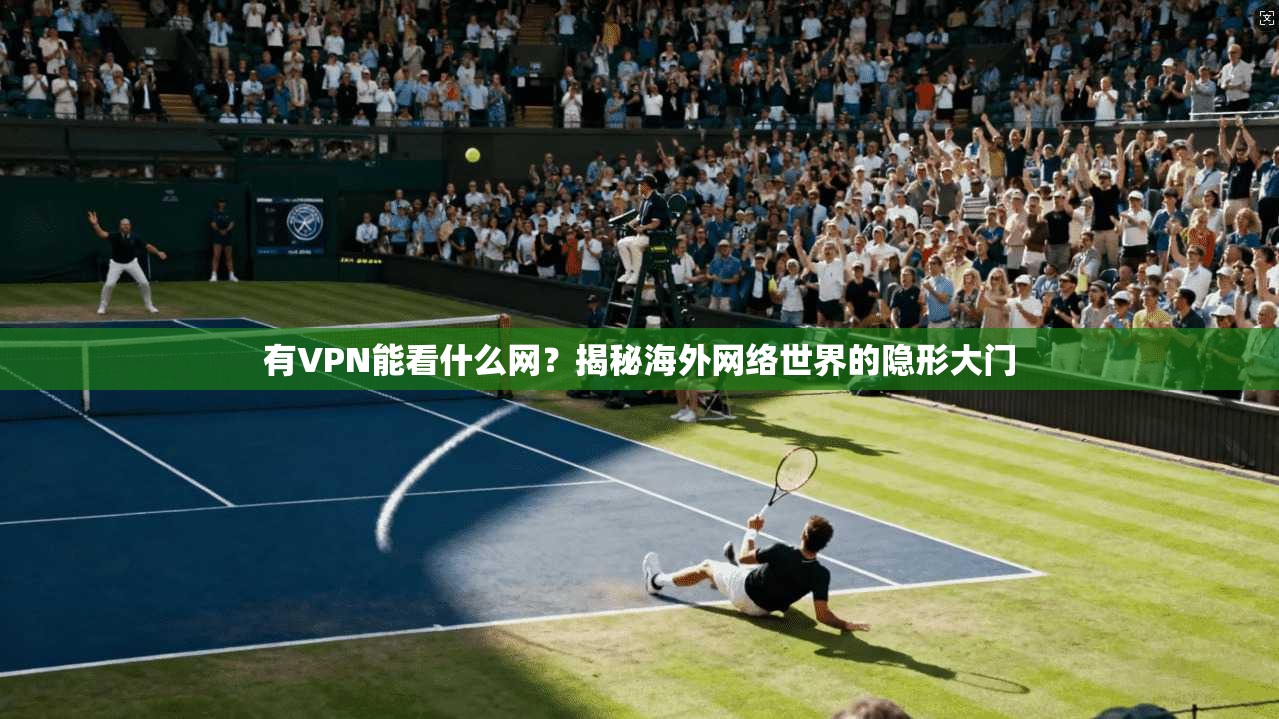有VPN能看什么网？揭秘海外网络世界的隐形大门