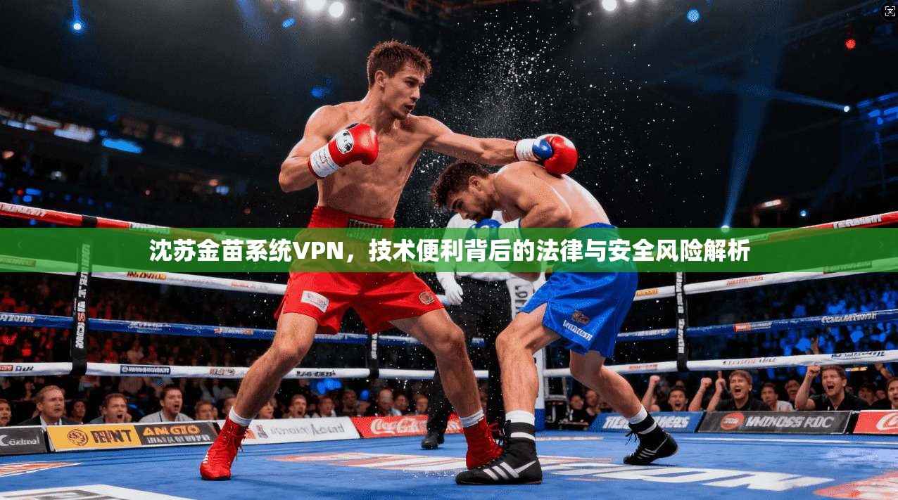 沈苏金苗系统VPN，技术便利背后的法律与安全风险解析
