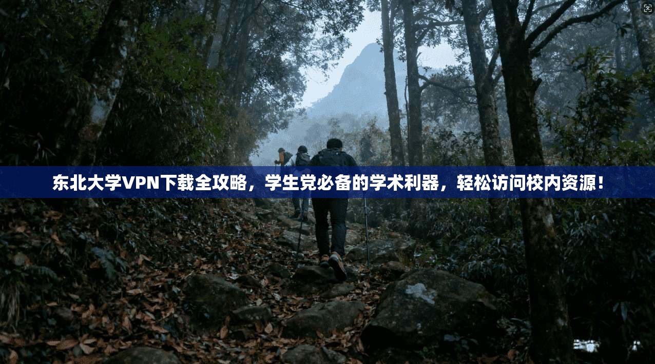东北大学VPN下载全攻略，学生党必备的学术利器，轻松访问校内资源！