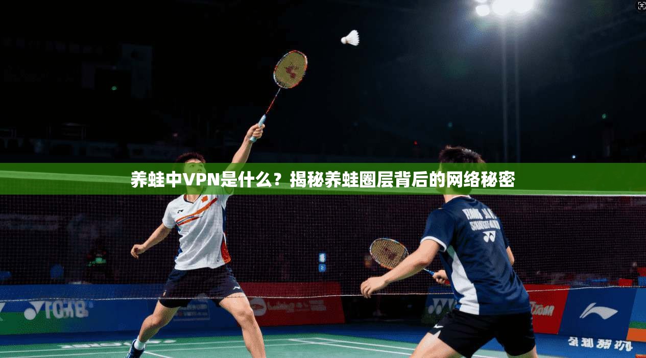 养蛙中VPN是什么？揭秘养蛙圈层背后的网络秘密