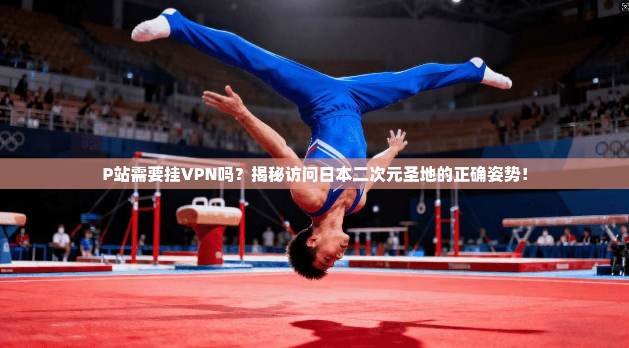 P站需要挂VPN吗？揭秘访问日本二次元圣地的正确姿势！
