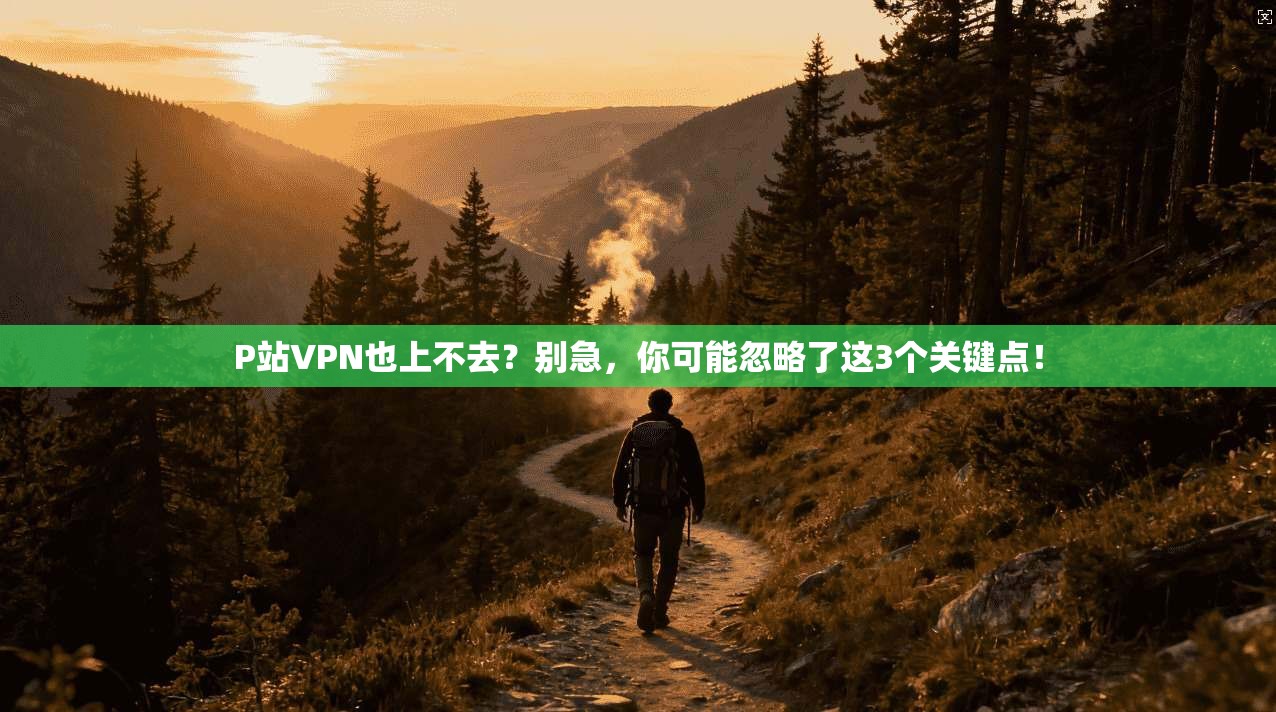 P站VPN也上不去？别急，你可能忽略了这3个关键点！