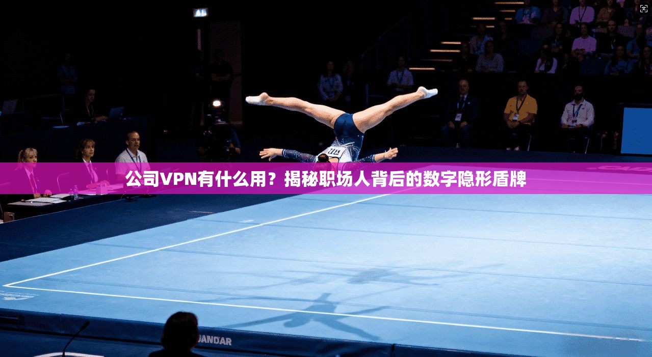 公司VPN有什么用？揭秘职场人背后的数字隐形盾牌