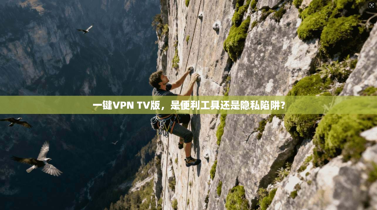 一键VPN TV版，是便利工具还是隐私陷阱？