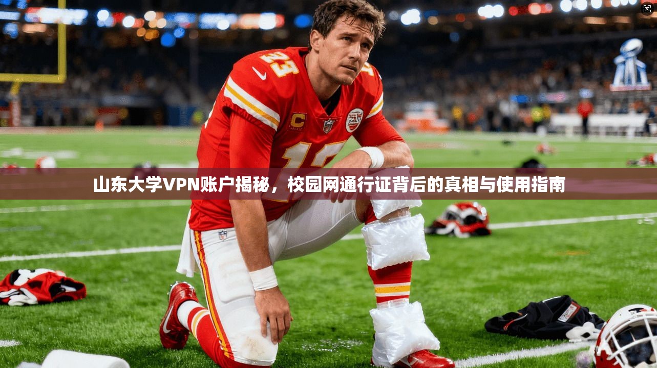 山东大学VPN账户揭秘，校园网通行证背后的真相与使用指南