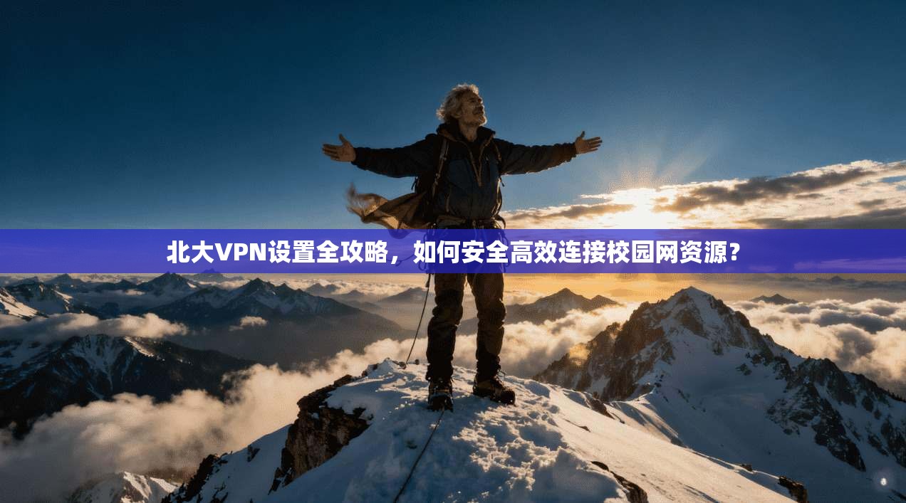 北大VPN设置全攻略，如何安全高效连接校园网资源？