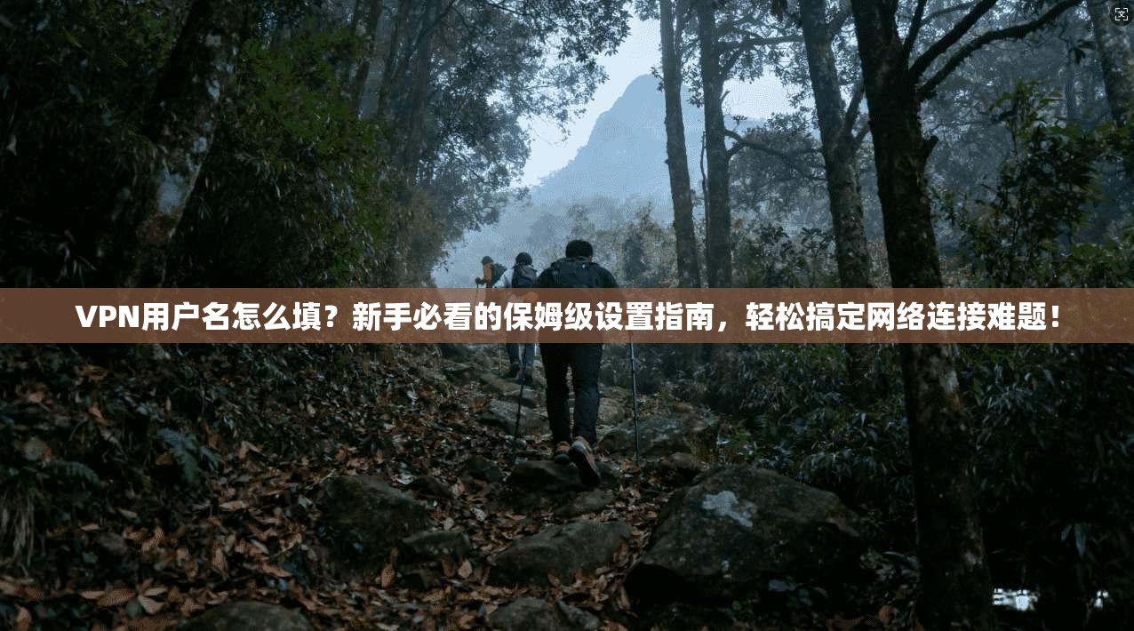 VPN用户名怎么填？新手必看的保姆级设置指南，轻松搞定网络连接难题！