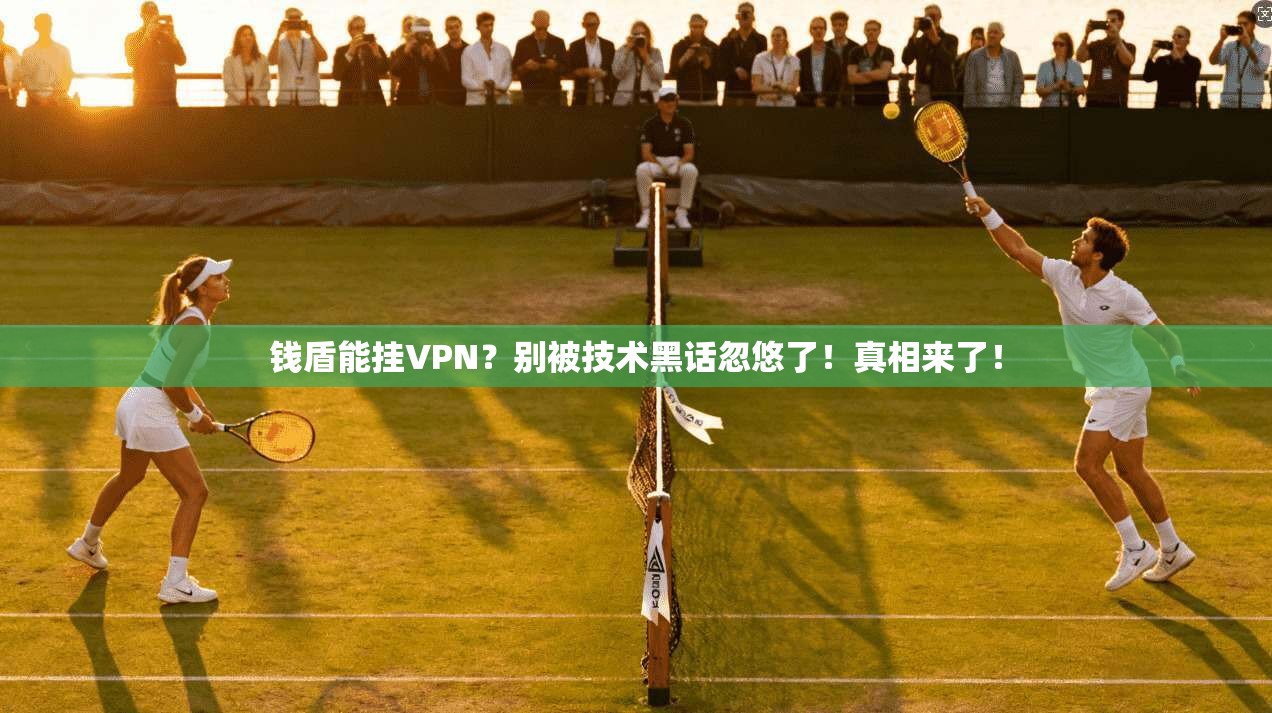 钱盾能挂VPN？别被技术黑话忽悠了！真相来了！