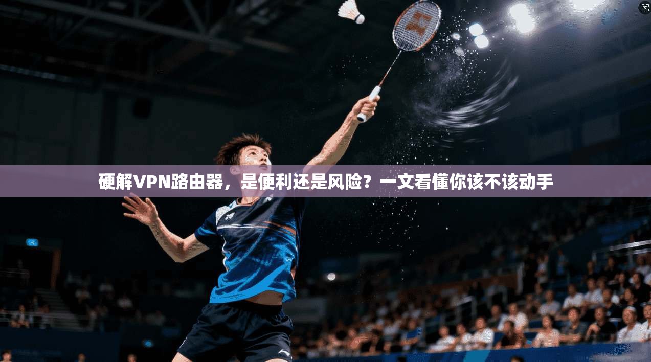 硬解VPN路由器，是便利还是风险？一文看懂你该不该动手