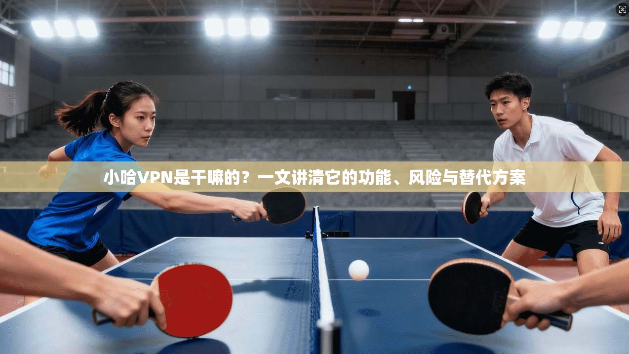 小哈VPN是干嘛的？一文讲清它的功能、风险与替代方案