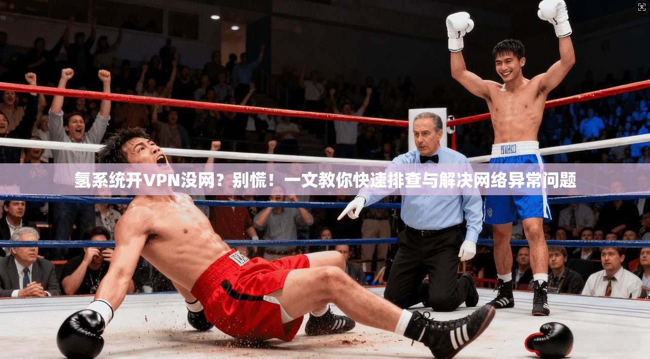 氢系统开VPN没网？别慌！一文教你快速排查与解决网络异常问题