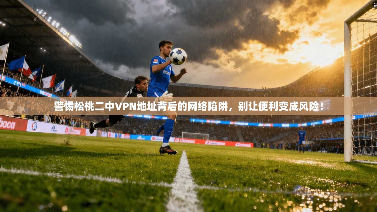 警惕松桃二中VPN地址背后的网络陷阱，别让便利变成风险！