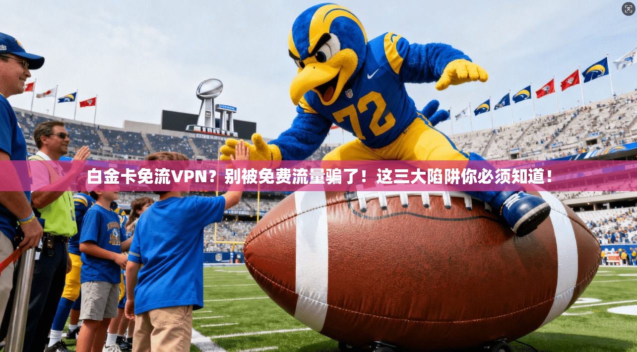 白金卡免流VPN？别被免费流量骗了！这三大陷阱你必须知道！