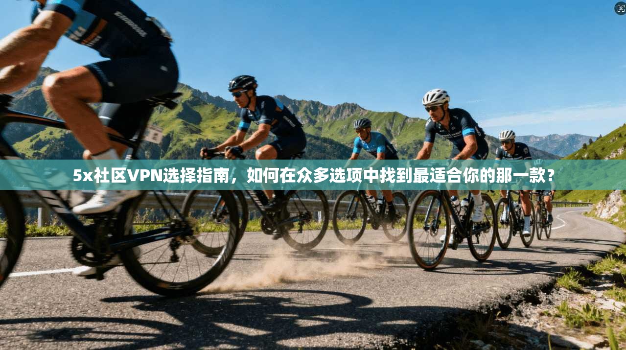 5x社区VPN选择指南，如何在众多选项中找到最适合你的那一款？