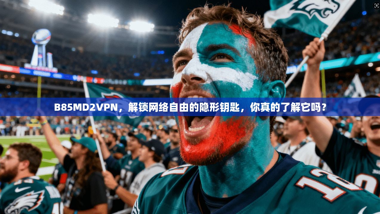 B85MD2VPN，解锁网络自由的隐形钥匙，你真的了解它吗？