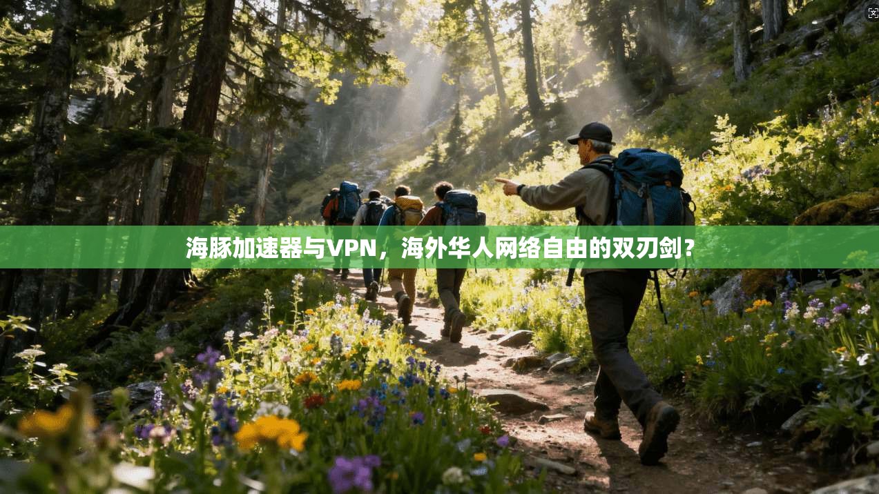 海豚加速器与VPN，海外华人网络自由的双刃剑？
