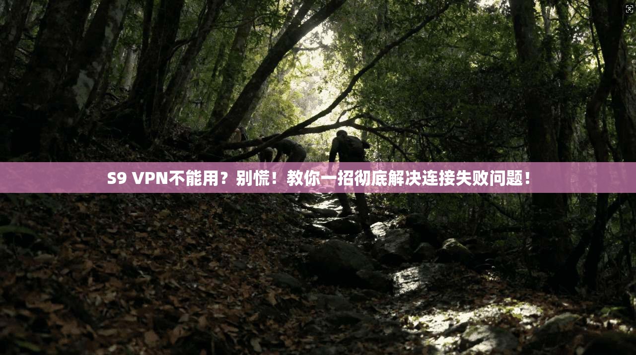 S9 VPN不能用？别慌！教你一招彻底解决连接失败问题！