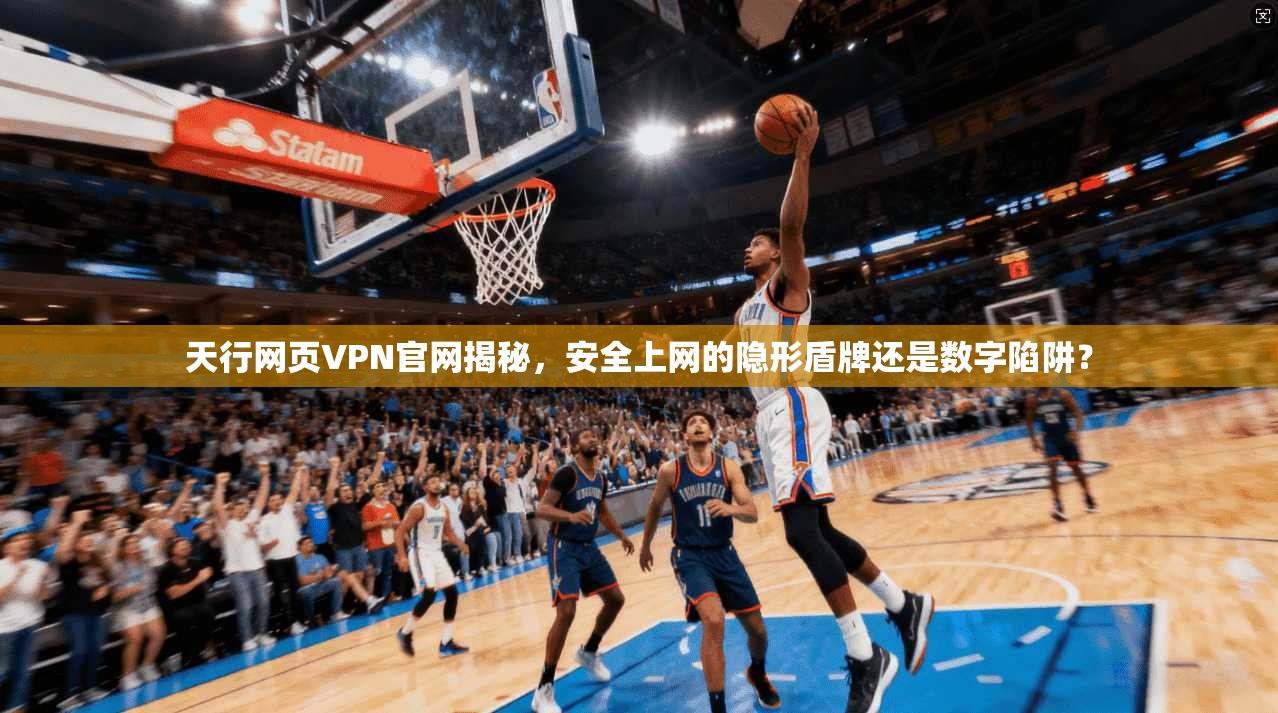天行网页VPN官网揭秘，安全上网的隐形盾牌还是数字陷阱？