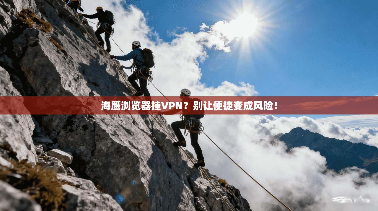 海鹰浏览器挂VPN？别让便捷变成风险！