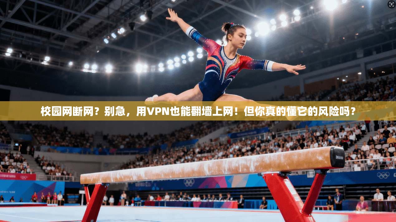 校园网断网？别急，用VPN也能翻墙上网！但你真的懂它的风险吗？