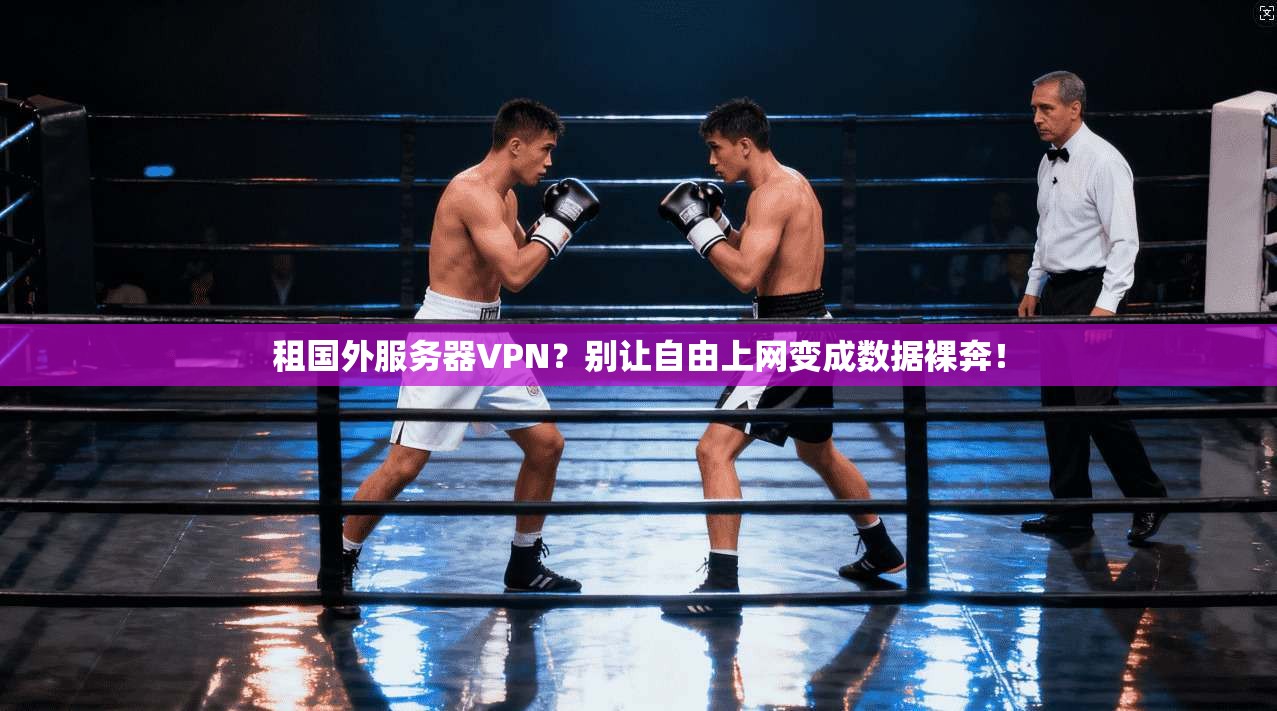 租国外服务器VPN？别让自由上网变成数据裸奔！