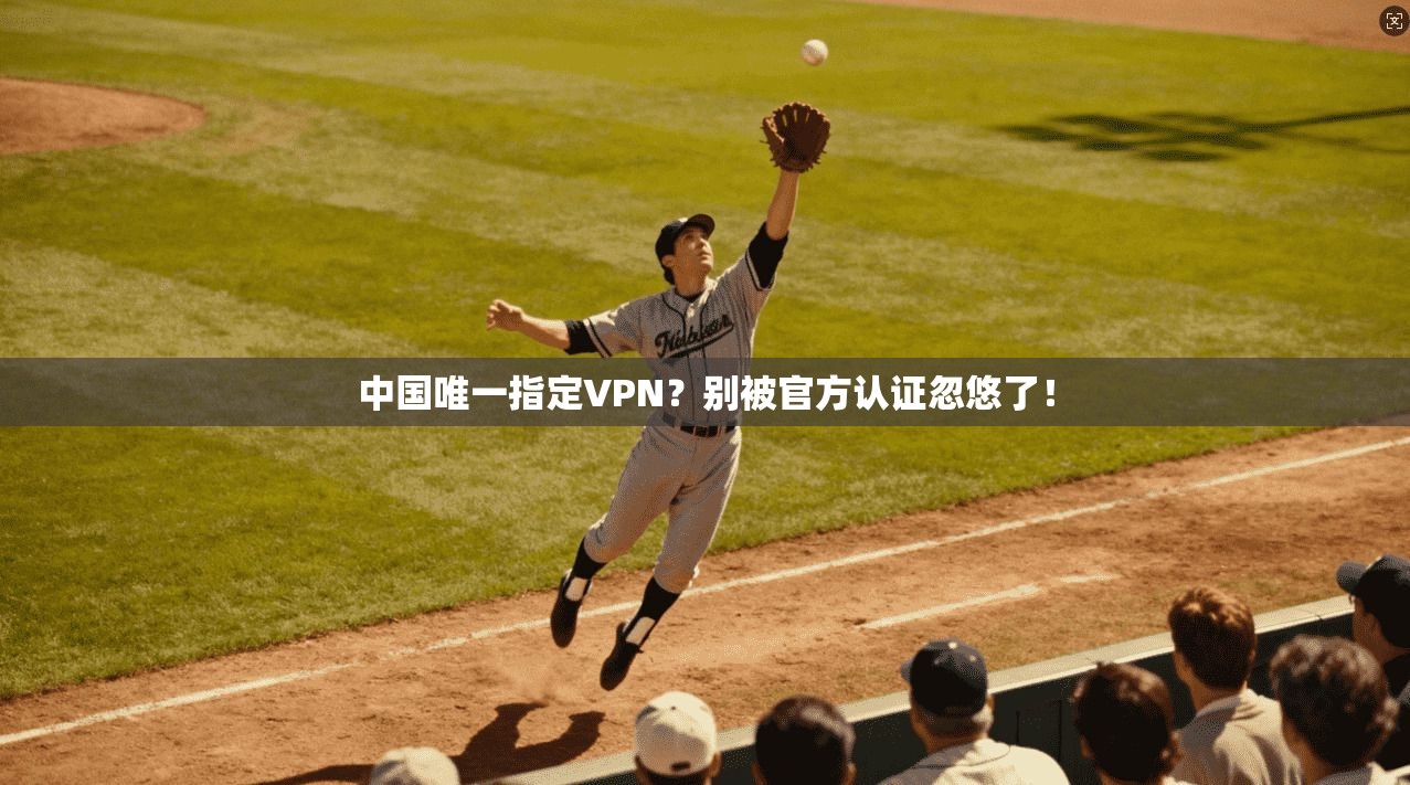 中国唯一指定VPN？别被官方认证忽悠了！