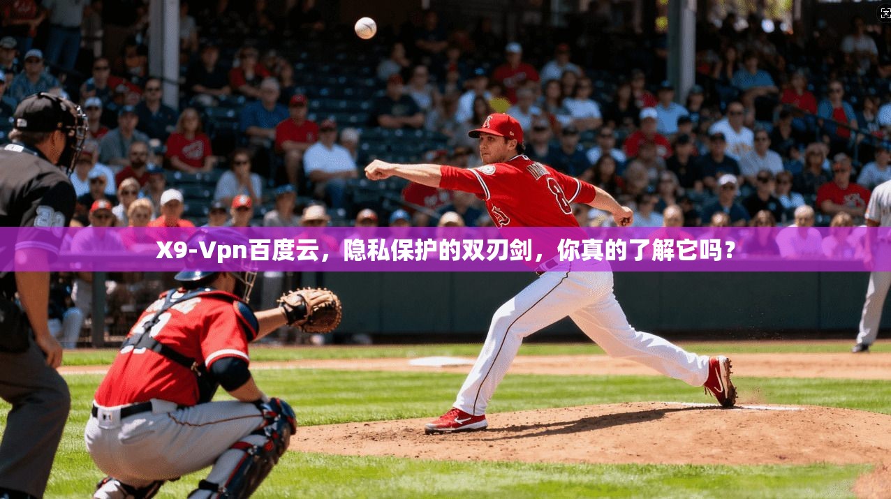 X9-Vpn百度云，隐私保护的双刃剑，你真的了解它吗？