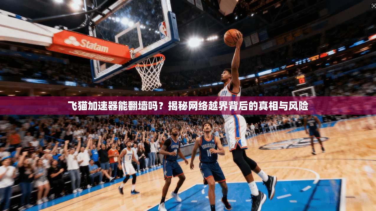 飞猫加速器能翻墙吗？揭秘网络越界背后的真相与风险