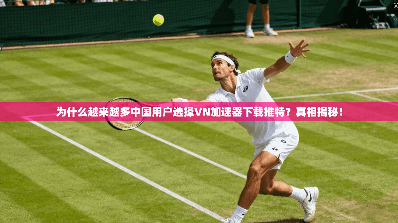 为什么越来越多中国用户选择VN加速器下载推特？真相揭秘！