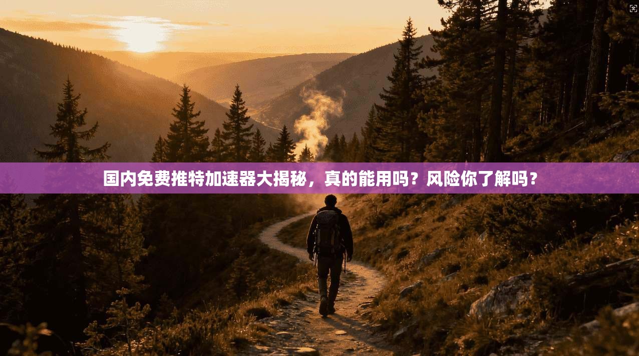 国内免费推特加速器大揭秘，真的能用吗？风险你了解吗？