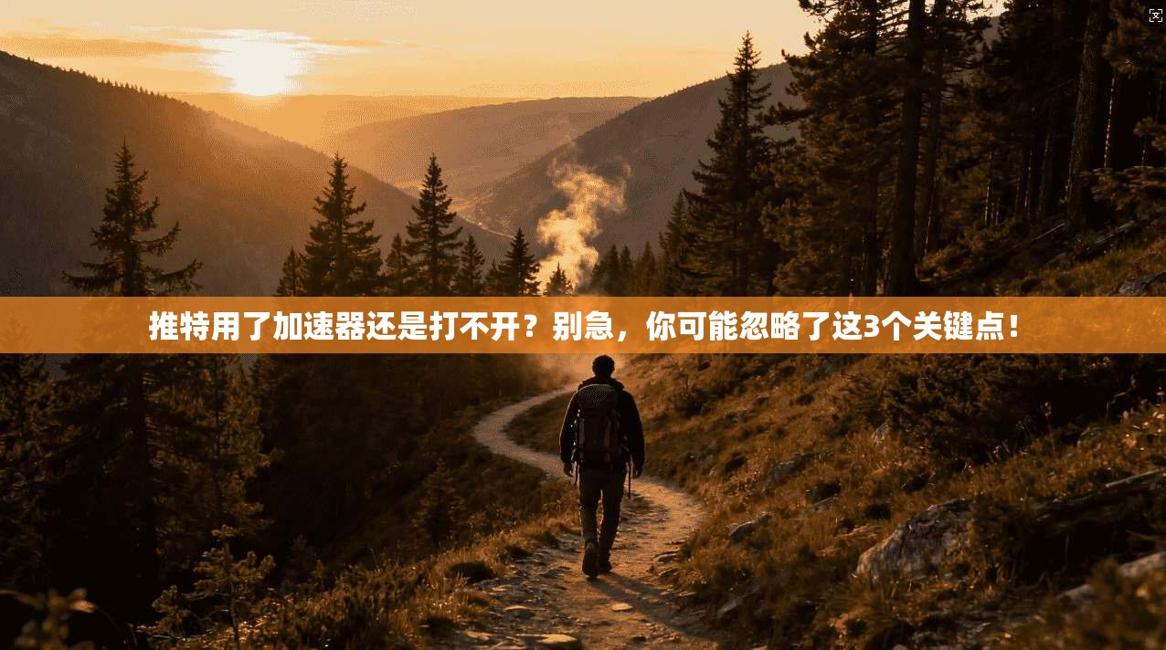 推特用了加速器还是打不开？别急，你可能忽略了这3个关键点！