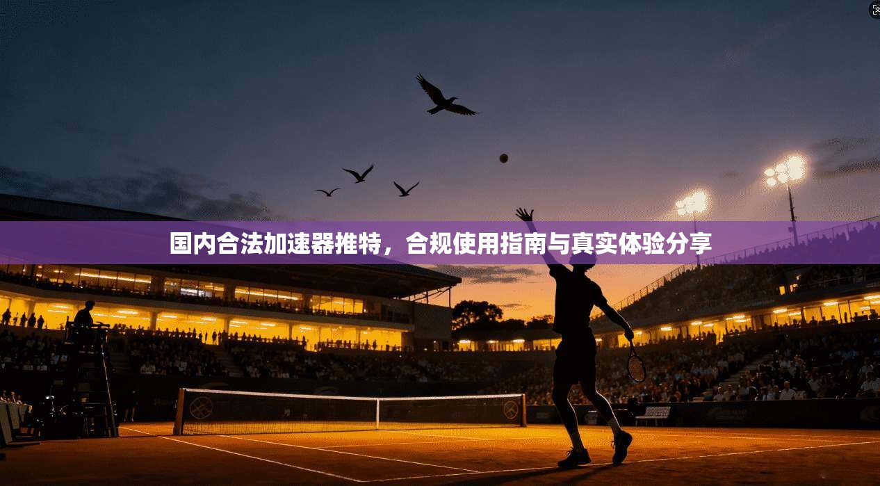 国内合法加速器推特，合规使用指南与真实体验分享