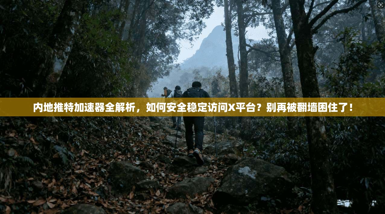 内地推特加速器全解析，如何安全稳定访问X平台？别再被翻墙困住了！