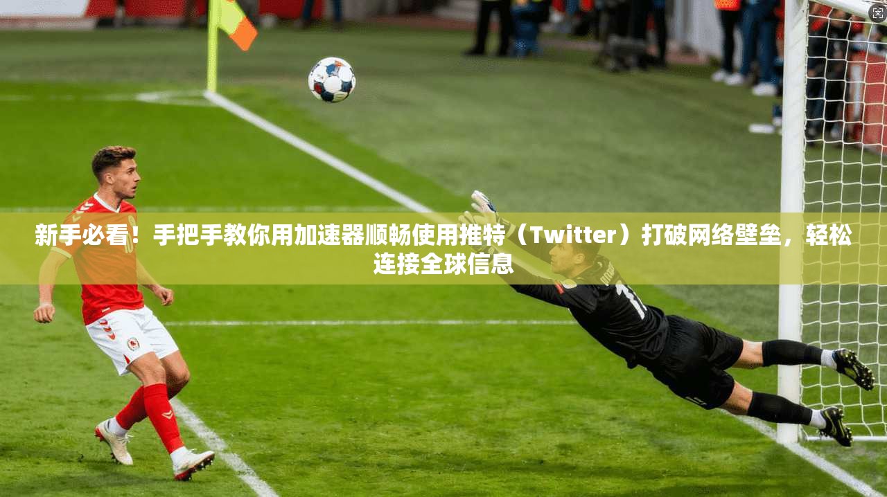 新手必看！手把手教你用加速器顺畅使用推特（Twitter）打破网络壁垒，轻松连接全球信息