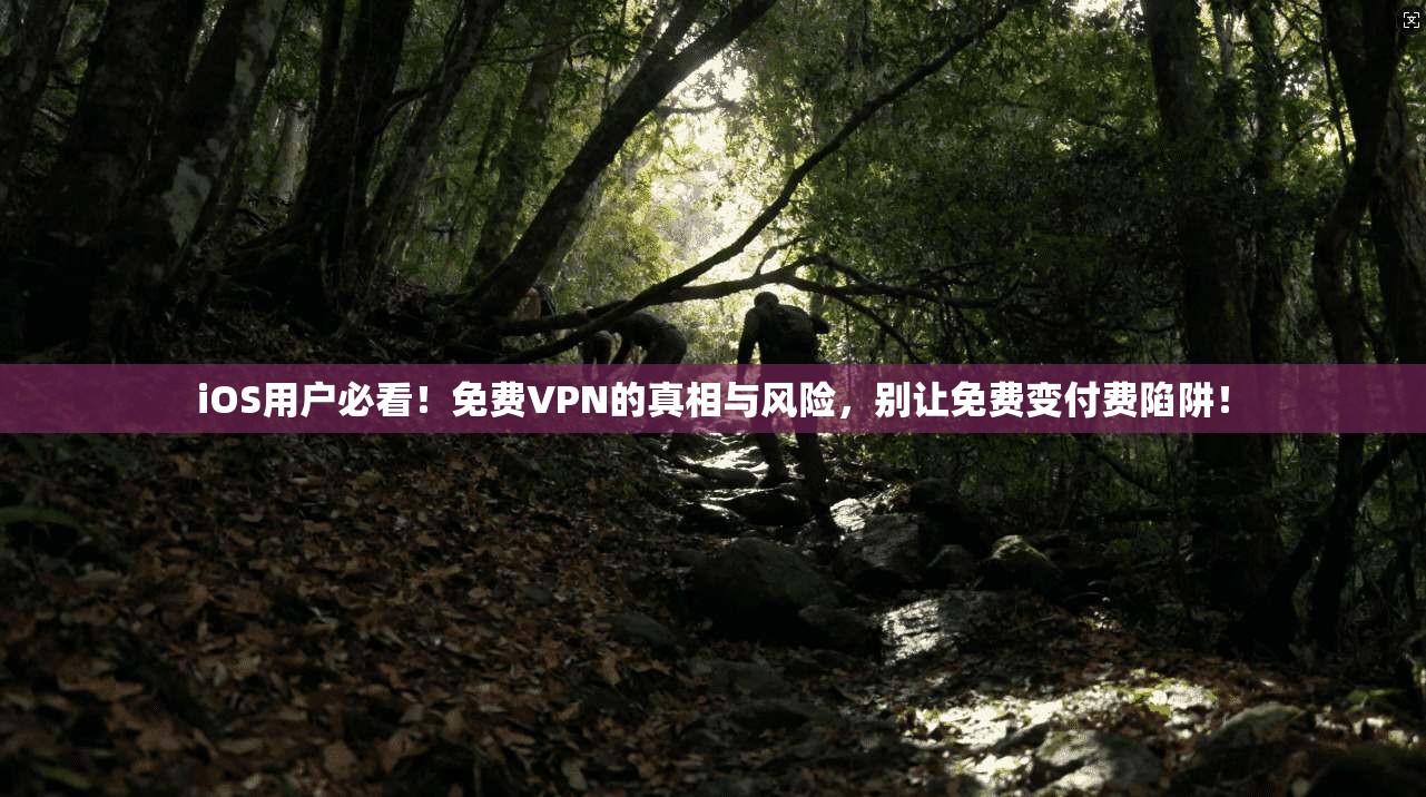 iOS用户必看！免费VPN的真相与风险，别让免费变付费陷阱！
